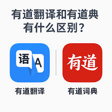 2026年有道翻译词典的“对话翻译”模式支持多少种语言?